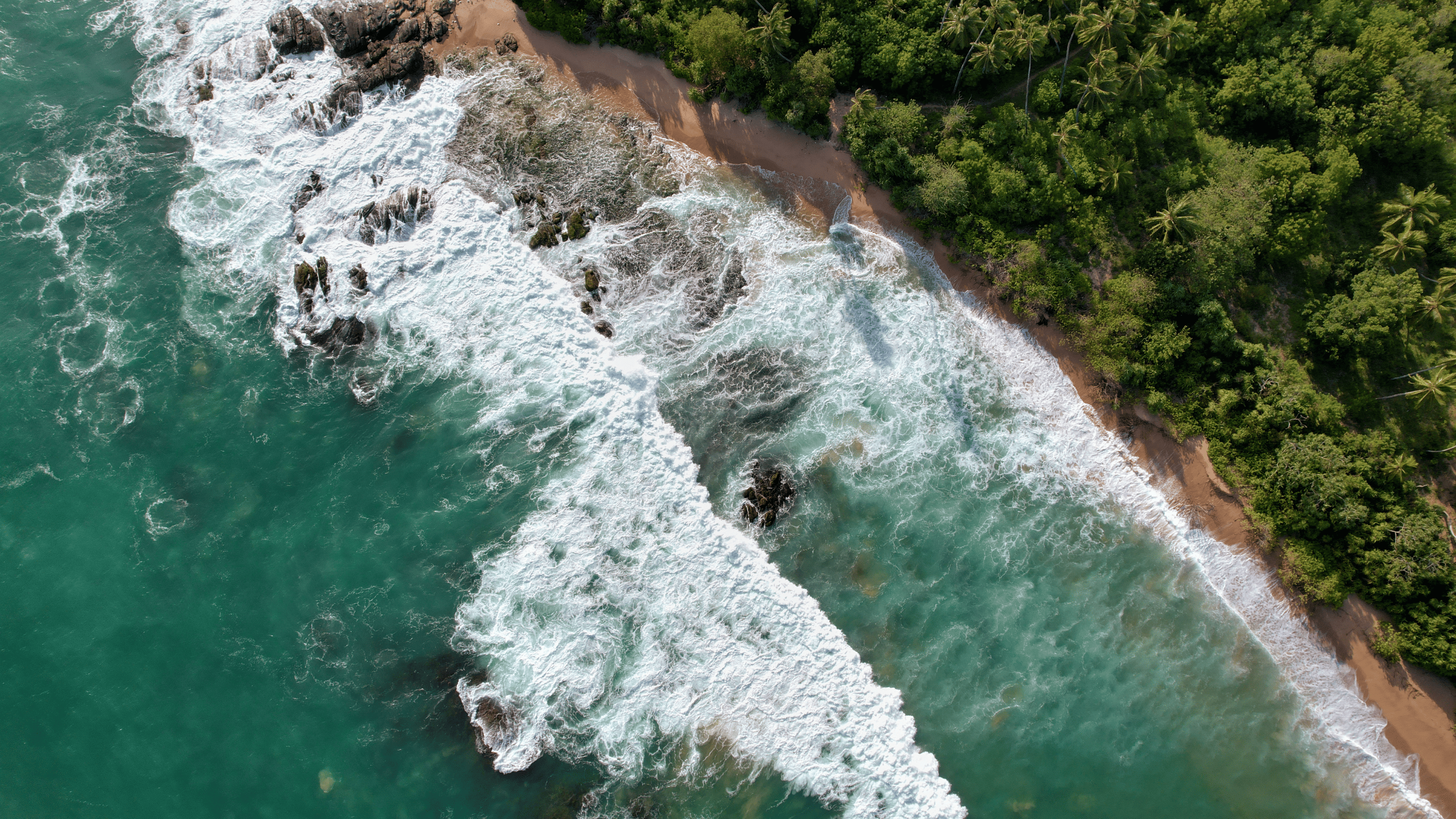 Coastal View
