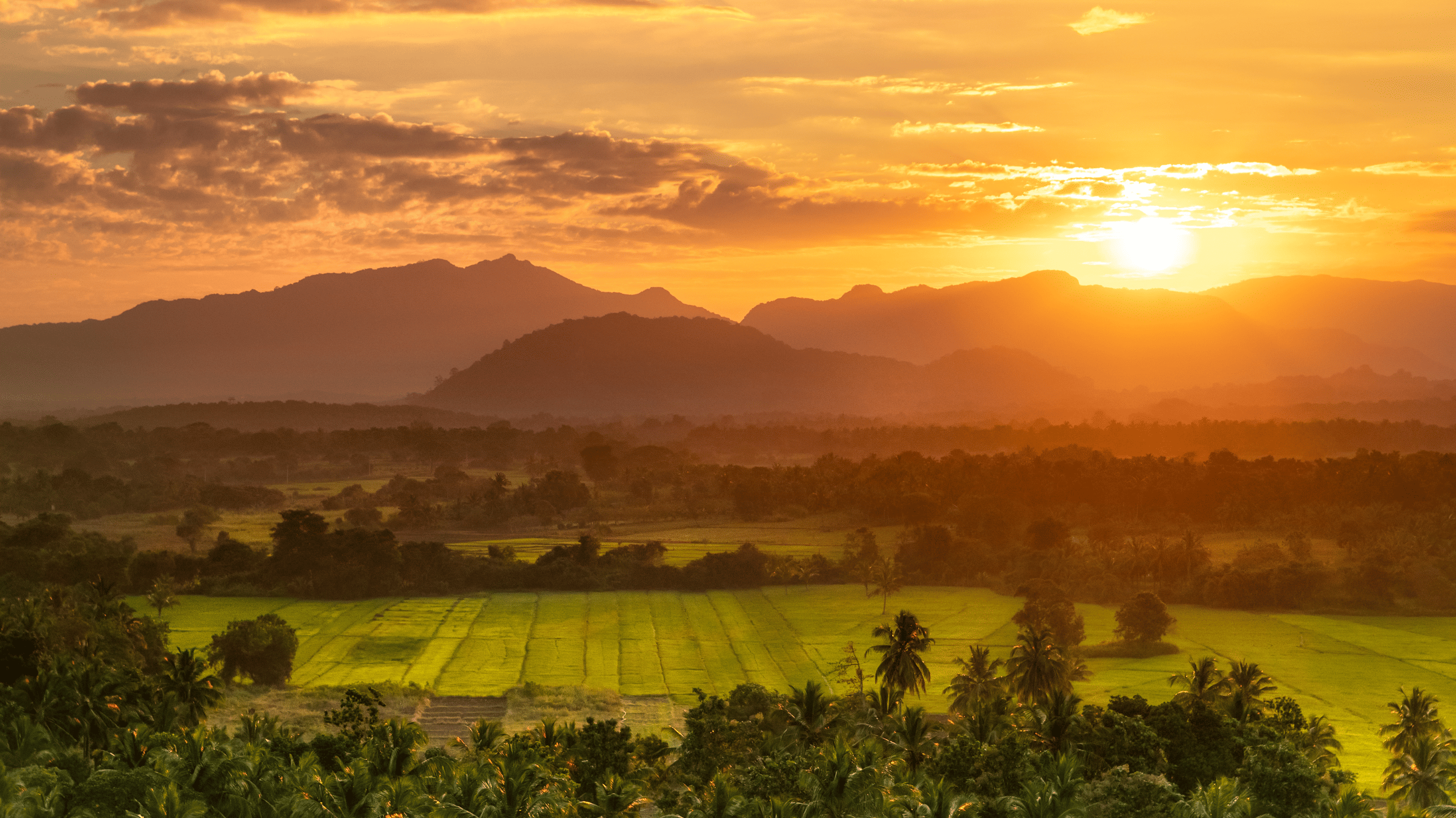 Sri Lanka Landscape